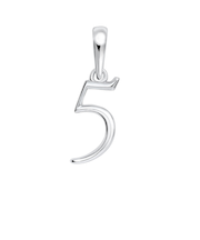 ネックレス ペンダントトップ プラチナ ナンバー チャーム お守りジュエリー 重ね付け 華奢 数字 5