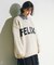 １＿ＦＥＬＩＸローゲージＰＯ