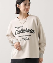 ２＿サガラ刺繍ダンボールＰＯ