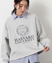 １＿ＨＡＲＶＡＲＤ＿ｓｗＬＳ