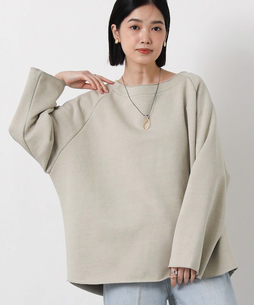 ２＿ピグメントボートＬＳ