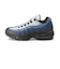 M749766A　AIRMAX 95 ESSENTIAL　028BK/OBS　549726-0022