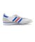 FV4430　SL 72　WHT/BLU/RED　603373-0001