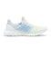 FZ3640　ultraboost clima　FWWT/FWWT/SIGGN　608258-0001