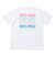 1365069　M UA Heavyweight CC GraphicTee　100WHT/PNS　616350-0002