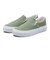 V98CK BLOOM　SLIP ON(19-22)　LEAF　610736-0002