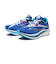 S10687-30　WMNS ENDORPHIN PRO 2　ROYAL/WHITE　616894-0001