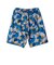 122-003002　DPM CAMO SHORTS　BLUE　630424-0001