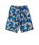 122-003002　DPM CAMO SHORTS　BLUE　630424-0001