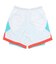1370226　M CURRY SPLASH SHORTS　400BTB/BTB/DQI　626183-0002