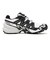 L41738900　SPEEDCROSS 6 GTX　WHT/BLACK/LUNR　635176-0001
