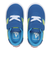 V3838B　MODULO(12-14)　BLUE/LIME　626397-0002