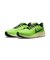 MDZ4776　AIR ZOOM PEGASUS 39　343SCMGRN/BLCK　636077-0001