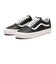 VN0A54F3103　OLD SKOOL 36 DX　BLACK/LEA　617506-0001