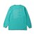 222-078005　DESERT DAISY L/S TEE　GREEN　642461-0001