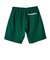222-049002　COLLEGE LOGO SHORTS　GREEN　642466-0001