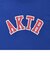 222-057005　KIDS COLLEGE LOGO SPORTS TEE　BLUE　642467-0001