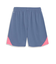 658828　M INDIVIDUAL RETRO SHORTS　53INKY BLUE　669228-0002