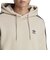 IL2490　M 3ST HOODIE　WONDERBEIGE　666090-0001