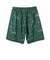 223-009002　SPLASH 8.5-INCH SHORTS　GREEN　676144-0001