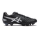 1103A095.001　DS LIGHT PRO　BLACK/P SILVER　678201-0001