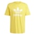 IR7977　M TREFOIL TEE　BOLDGOLD　674700-0001