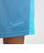 DV9743　M ACD23 SHORT K BR　429AGNSTM/BLTC　638806-0003