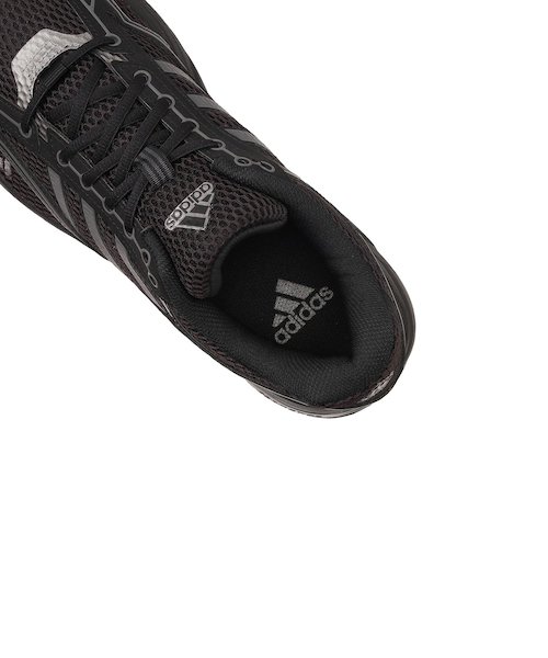 ひーさん 2025 HAPPY NEW YEAR 今年は、2台でお世話になりそうです 自分