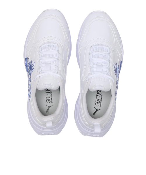 オリジナルキャンバスボード エーフィ&ブラッキー A11のフィーチャーカード紹介：《ブラッキー》&《エーフィ