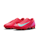 MFQ8431　ZOOM VAPOR 16 ACADEMY HG　800EMBRGL/AURGR　683609-0002