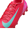 MFQ8431　ZOOM VAPOR 16 ACADEMY HG　800EMBRGL/AURGR　683609-0002