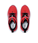 PT625RD　17-215(H) PT625RD(W)　RED(RD)　686208-0001