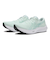 1011B969.400　EvoRide Speed 3　S SEA/I MINT　691679-0001