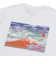 VN000ZV1WHT　MT FUJI SS TEE　White　699013-0001