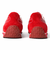 232517　IRIS　H-RED　689634-0001