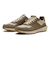 C42249　GRANDPRO ASHLAND　OAT/SEA TURTLE　703368-0001