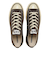 31316521　AS AGED AC OX　DARK UMBER　703423-0001