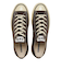 31316521　AS AGED AC OX　DARK UMBER　703423-0001