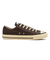 31316521　AS AGED AC OX　DARK UMBER　703423-0001
