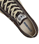 31316521　AS AGED AC OX　DARK UMBER　703423-0001