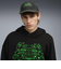 026595　M RIPNDIP DAD CAP　01BK　699651-0001