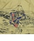 126R1062800　M Samurai SK8er Aloha Shirts　GOLD　707287-0001