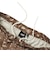 126R1151900　H Hula surfer Hybrid Shorts　BROWN　707281-0002