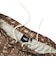 126R1151900　H Hula surfer Hybrid Shorts　BROWN　707281-0002