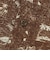 126R1061800　H Hula surfer Aloha Shirt　BROWN　707280-0002