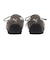 408340　W SPEEDCAT BALLET NOVA　03MATTE BRONZE/　711371-0001