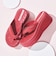 SP83787349　SOLARIS　*RED/RED/PINK　712010-0001