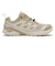 L45458100　X-ADVENTURE GTX W　Safari/Almond　717818-0001