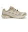 L45458100　X-ADVENTURE GTX W　Safari/Almond　717818-0001