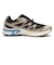 L45415100　XT-EVR GTX M　Black/OxfordTan　717819-0001